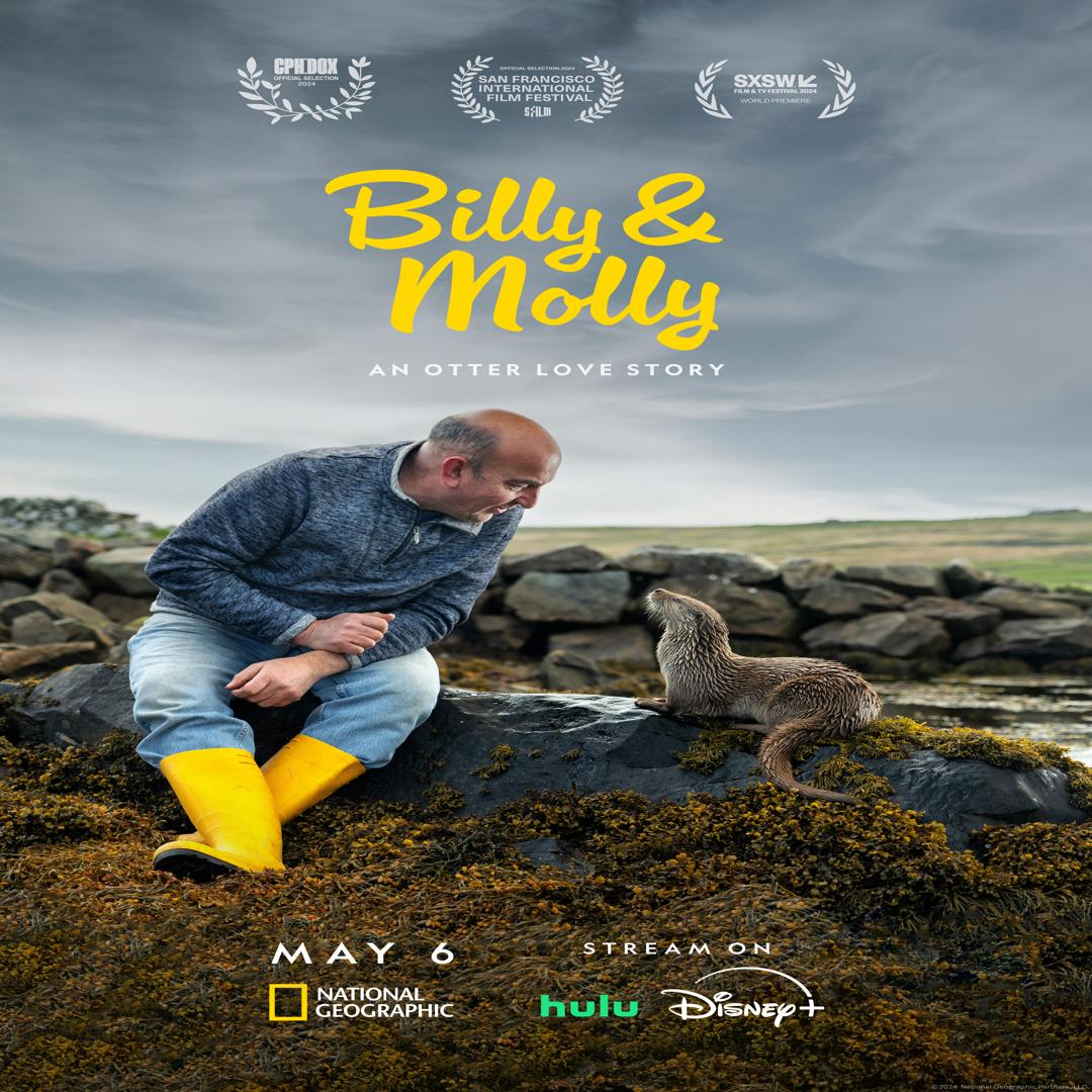 Billy Molly An Otter Love Story 2024