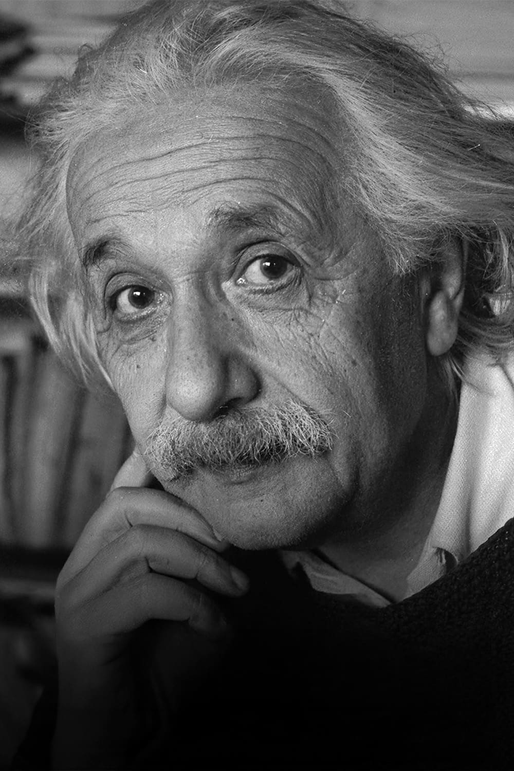 Einstein And The Bomb 2024