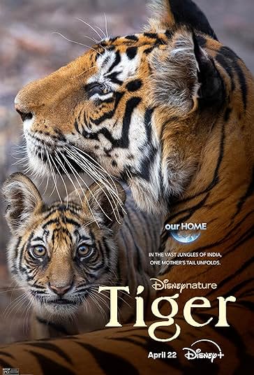 Tiger 2024
